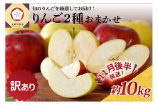 【2025年11月後半発送】 【訳あり】 りんご 約10kg 青森産 品種おまかせ2種以上