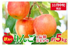 【2025年10月中旬発送】 【訳あり】 旬の美味しい りんご 約5kg 青森 産 【おまかせ1品種】