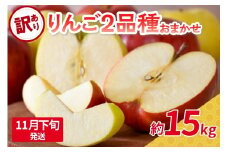 【2025年11月下旬発送】 【訳あり】旬の美味しいりんご 約15kg 青森産 【おまかせ2品種】