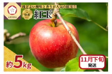 【2025年11月下旬発送】【特選】 りんご 5kg 紅玉 青森