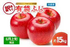 【2025年6月上旬発送】【訳あり】りんご15kg有袋ふじ【スマートフレッシュTM貯蔵またはCA貯蔵・クール便】