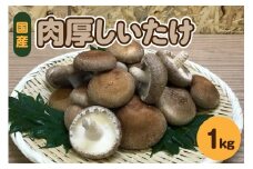 【11月から発送】国産 肉厚 しいたけ 1kg(500g×2袋)  青森 【 きのこ 肉 厚 】