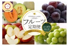 【2025年7月発送開始】フルーツ 定期便 5回 よくばり セット 訳あり含む