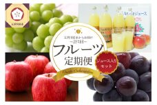 【2025年7月発送開始】 フルーツ 定期便 5回 ジュース 入り 訳あり含む