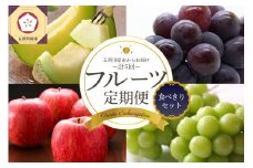 【2025年7月発送開始】フルーツ 定期便 5回 食べきり セット 訳あり含む
