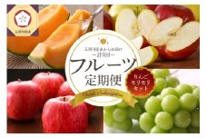 【2025年8月発送開始】フルーツ 定期便 5回 りんご モリモリ セット 訳あり含む