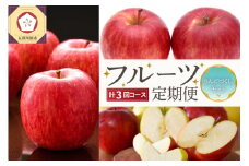 【2025年9月発送開始】 おいしい3種類☆フルーツ定期便【3回】（りんごづくし）訳あり りんご