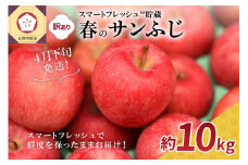 【2025年4月下旬発送】りんご春のサンふじ訳あり10kgスマートフレッシュTM貯蔵またはCA貯蔵