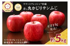 【2025年4月下旬発送】りんご春のサンふじ特選丸かじり5kgスマートフレッシュTM貯蔵またはCA貯蔵
