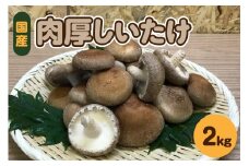 【11月から発送】国産 肉厚 しいたけ 2kg 青森 【 きのこ 肉 厚 】