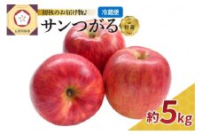 りんご 9月 5kg サンつがる 特選 青森 クール便【2025年】