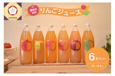 青森 りんごジュース 1L×6本  りんご 果汁 100％ ストレート 飲み比べ 詰め合わせ セット