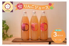 青森 りんごジュース 1L×3本 りんご 果汁 100％ ストレート すっきり 飲み比べ 詰め合わせ セット
