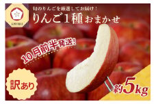 【2025年10月前半発送】 【訳あり】 りんご 青森産 約5kg 品種おまかせ1種