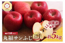 【2025年11月後半発送】 りんご 青森産 約5kg 丸福 サンふじ 光センサー 選果 糖度 13度以上