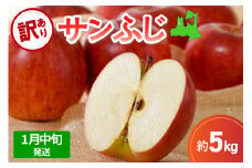 【先行受付】【2026年1月中旬発送】【訳あり】 りんご 5kg サンふじ 青森