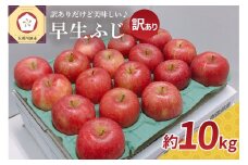 【2025年 10月発送】 りんご 約10kg 訳あり 早生 ふじ 【 青森 林檎 フジ リンゴ ワケアリ 】 
