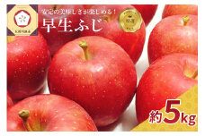【2025年 10月発送】 りんご 約5kg 【特選】 早生 ふじ 【 青森 林檎 フジ リンゴ 】