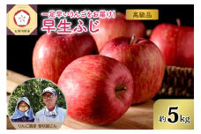 【先行予約 2025年10月上旬発送】りんご（早生ふじ）約5kg 高級品 春秋園 青森【贈答用 リンゴ 林檎 早生フジ】