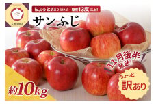 【先行受付】【2025年11月後半発送】 【訳あり】 りんご 約10kg サンふじ 青森産