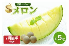 【2025年先行予約】メロン 約 5kg 秀～優 7月 8月 ( 青肉 3～6玉 ）【2025年7月後半発送】【 津軽産 青森 緑肉 青肉メロン 】