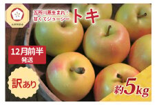 【2025年12月前半発送】訳あり トキ 約5kg