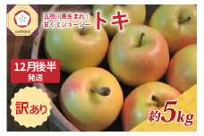【2025年12月後半発送】訳あり トキ 約5kg