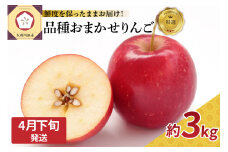 【2025年4月下旬発送】 特選 丸かじり青森りんご 3kg程度 品種おまかせ1種（スマートフレッシュ貯蔵またはCA貯蔵）