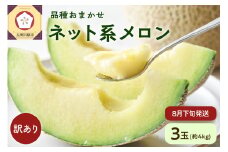 【2025年先行予約】 メロン 訳あり 3玉 約4kg 青肉 中玉 青森 五所川原 【2025年8月下旬発送】 ネット系メロン フルーツ 夏 旬 4キロ 果物 くだもの めろん