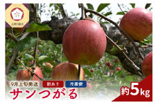 【2025年9月上旬発送】【訳あり】りんご（サンつがる）5kg 春秋園 青森【家庭用 リンゴ 訳アリ 林檎 サンツガル 早生りんご ワケアリ】