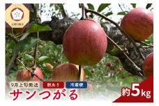 【2025年9月上旬発送】【訳あり】りんご（サンつがる）5kg 春秋園 青森【家庭用 リンゴ 訳アリ 林檎 サンツガル 早生りんご ワケアリ】