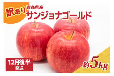 訳あり りんご5kg 程度【2025年12月後半発送】サンジョナゴールド 青森|不揃いリンゴ 