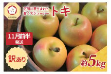 【2025年11月前半発送】訳あり トキ 約5kg