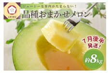 【2025年7月後半発送】 青森のメロン 約8kg 青肉 4～6玉 秀～優