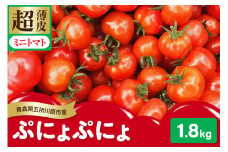 【2025年 先行受付】超薄皮 ミニトマト 約1.8kg 「 ぷにょぷにょ 」【 ７月 発送  開始 】食感を満喫するミニトマト【青森 五所川原】プチ トマト ぷよ 食感 五所川原市 大太