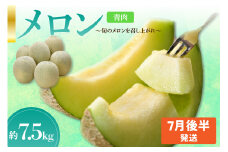 【2025年7月後半発送】【秀～優品】メロン 約7.5kg 程度( 青肉 ) 津軽平野のメロン 【選べる配送時期】7月 青森