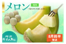 【2025年8月前半発送】【秀～優品】メロン 約7.5kg 程度( 青肉 ) 津軽平野のメロン 【選べる配送時期】 8月 青森