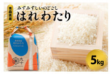 特a米 はれわたり 5キロ 令和6年産米 精米 特A 青森県産米 【五所川原市 白米 お米 晴れ渡り 晴れわたり harewatari 5kg 】