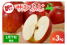 【先行受付】【2026年1月下旬発送】サンふじ 訳あり りんご 青森 3kg 度|選べる配送時期| 五所川原 不揃い