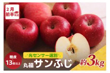 りんご　サンふじ約3kg丸福 光センサー選果 糖度13度以上 青森産りんご 【2026年2月前半発送】 11月 12月 1月 2月 3月 配送 リンゴ 五所川原りんご