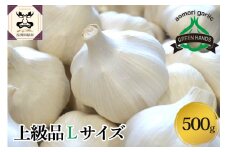 【先行受付】【8月下旬より順次発送】 青森県産にんにく（上級品）500g Lサイズ ホワイト六片 にんにく 青森 五所川原 大蒜 ニンニク