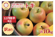 【2025年12月後半発送】訳あり トキ 約10kg