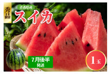 【2025年7月後半発送】 青森県産 スイカ 1玉 大玉 秀品 先行予約 西瓜 7月 8月