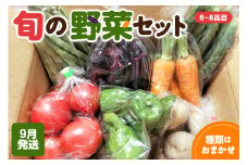 【2025年9月発送】野菜セット 「産直メロス」 旬の野菜詰め合わせ 野菜 詰合せ セット詰め合わせ 国産 旬 おまかせ お楽しみ 直送 詰合 青森 五所川原 6～8品