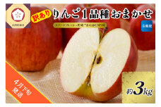 【2025年4月下旬発送】【訳あり】りんご 約3kg 青森産 【おまかせ1品種】【スマートフレッシュ貯蔵またはCA貯蔵・クール便】
