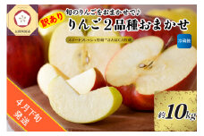 【2025年4月下旬発送】【訳あり】りんご 約10kg 青森産 【おまかせ2品種】【スマートフレッシュ貯蔵またはCA貯蔵・クール便】