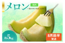 【2025年8月前半発送】【秀～優品】メロン 約5kg 程度( 青肉 ) 津軽平野のメロン 【選べる配送時期】 8月 青森
