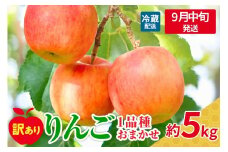 【2025年9月中旬発送】  【訳あり】  旬の美味しい りんご 約5kg 青森産 【おまかせ1品種】