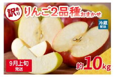 【2025年9月上旬発送】 【訳あり】 旬の美味しい りんご 約10kg 青森産 【おまかせ2品種】