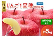 【2025年9月中旬発送】 【特選】 旬の美味しい りんご 約5kg 青森産 【おまかせ1品種】